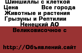 Шиншиллы с клеткой › Цена ­ 8 000 - Все города Животные и растения » Грызуны и Рептилии   . Ненецкий АО,Великовисочное с.